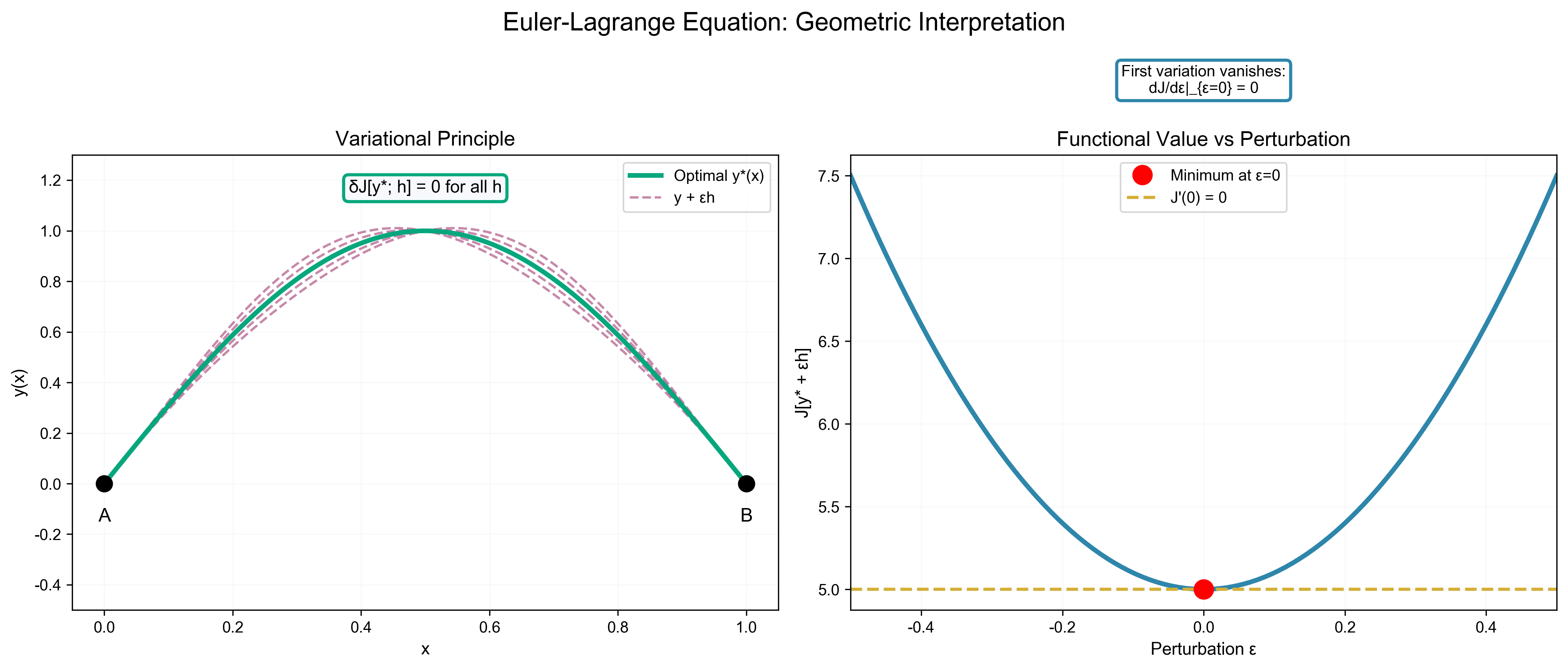 Euler-Lagrange 方程的几何解释
